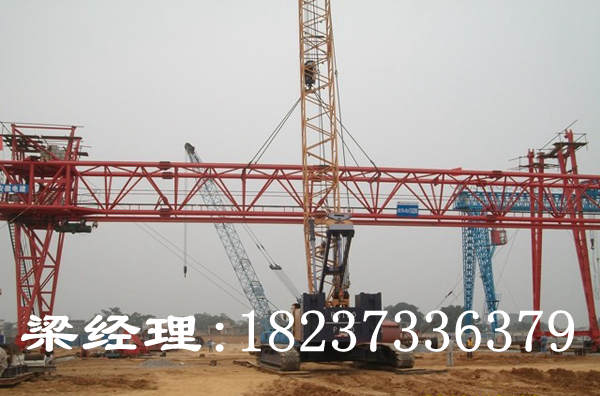 湖北武漢門式起重機(jī)廠家