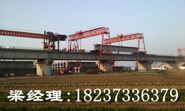 湖南長(zhǎng)沙門式起重機(jī)廠家