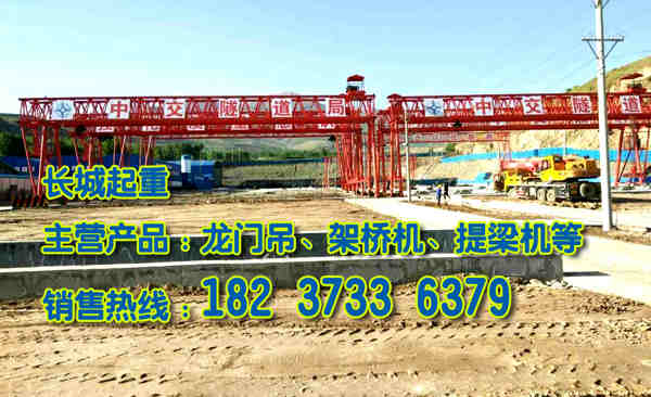 青海西寧門式起重機廠家